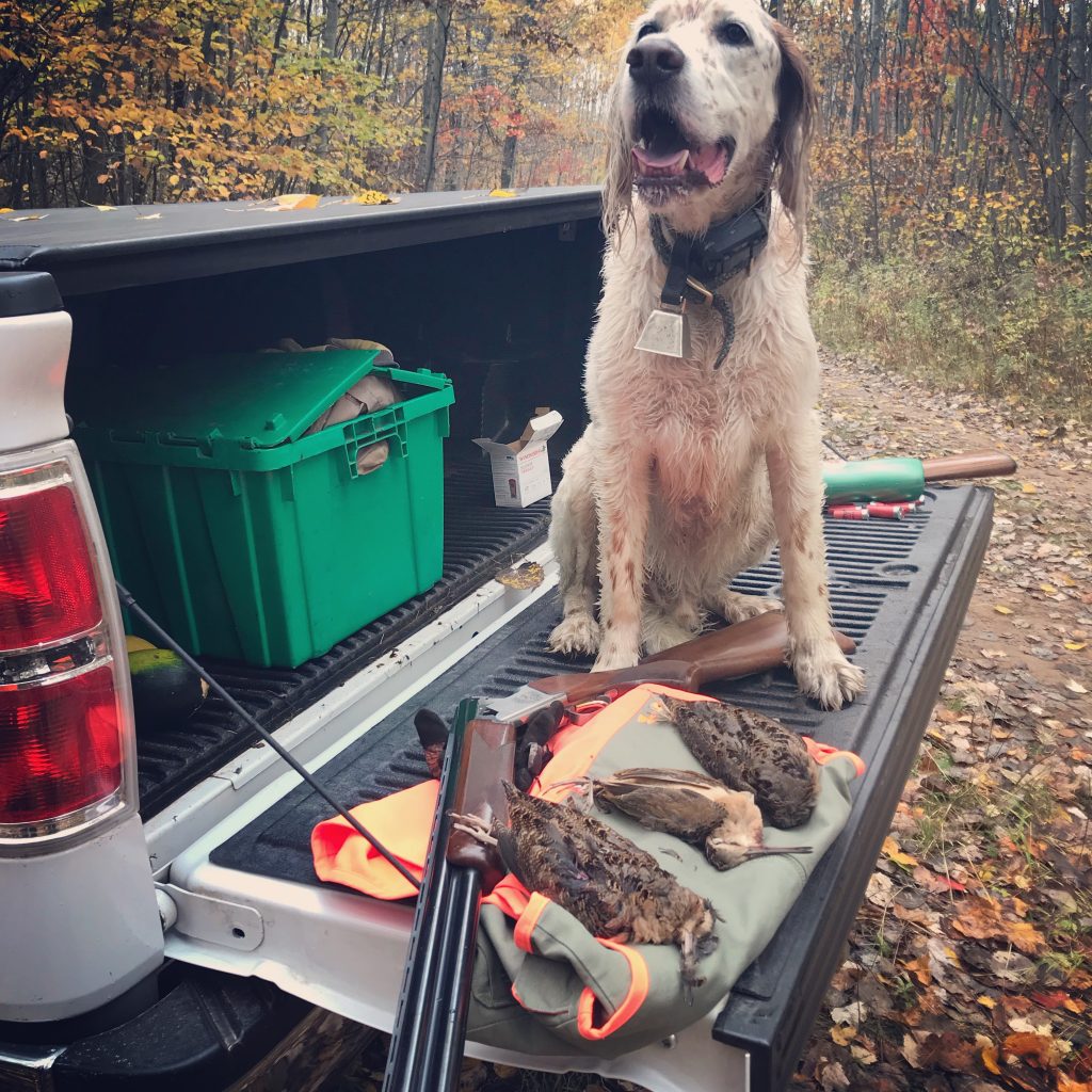 Woodcock Hunting Limiting Out In Record Time The Upland Hunter 