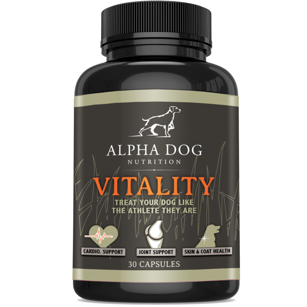 Omega 3 Supplements for Hunting Dogs Upland Hunter's Top Choices