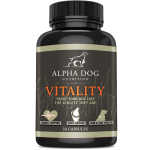 Omega 3 Supplements for Hunting Dogs